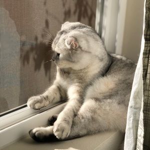 Meet your Posher, Billy